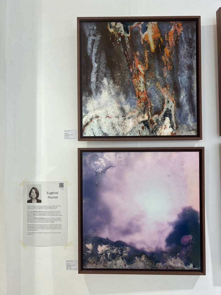 POLAROID VI