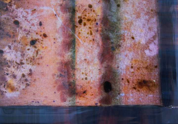 EUDEMONIA FUSING GLASS 4